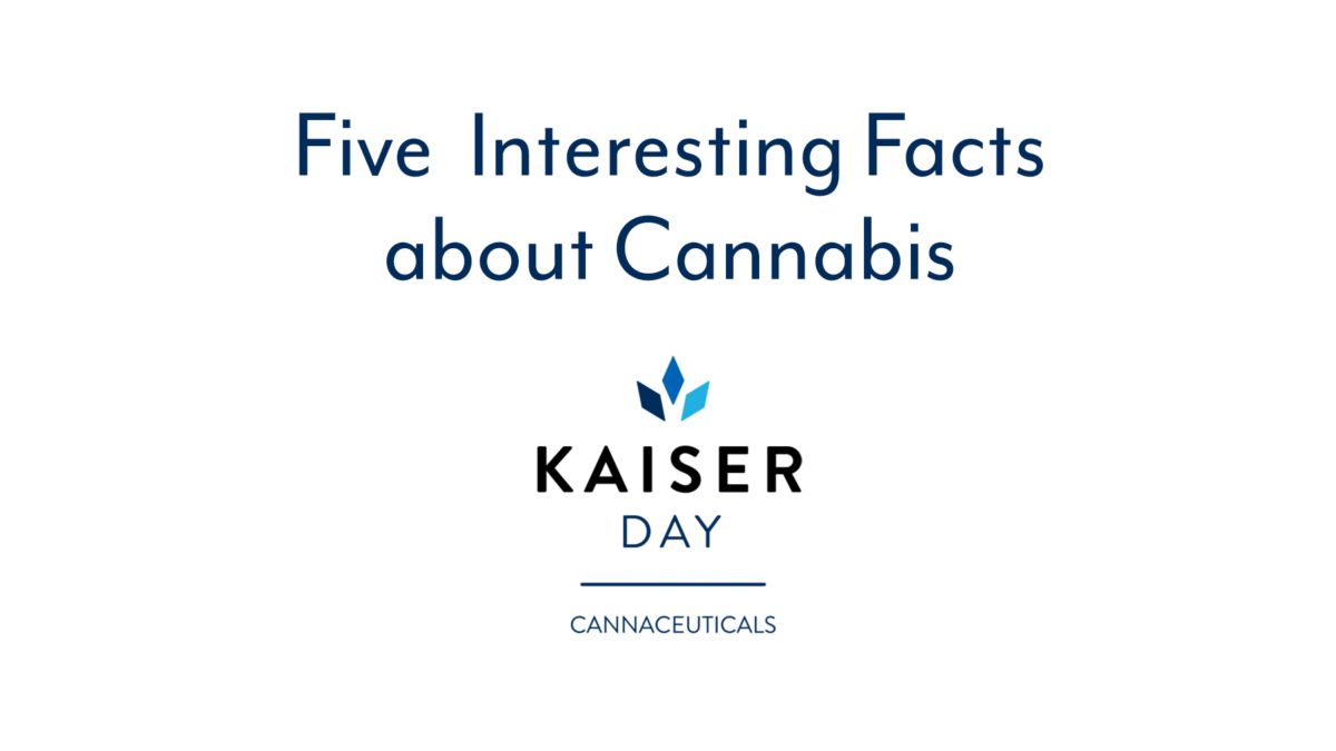 5 interesting facts about cannabis